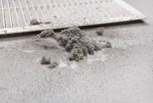 Best Air Vent Cleaning Services  in Diamond Bar, CA