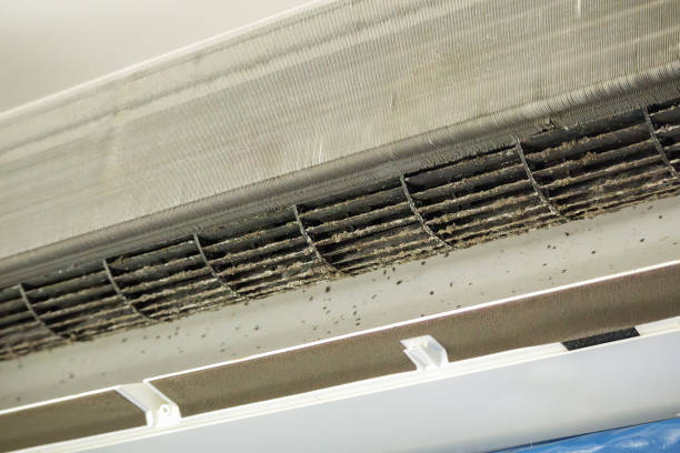 Best HVAC Duct Inspection Services  in Diamond Bar, CA